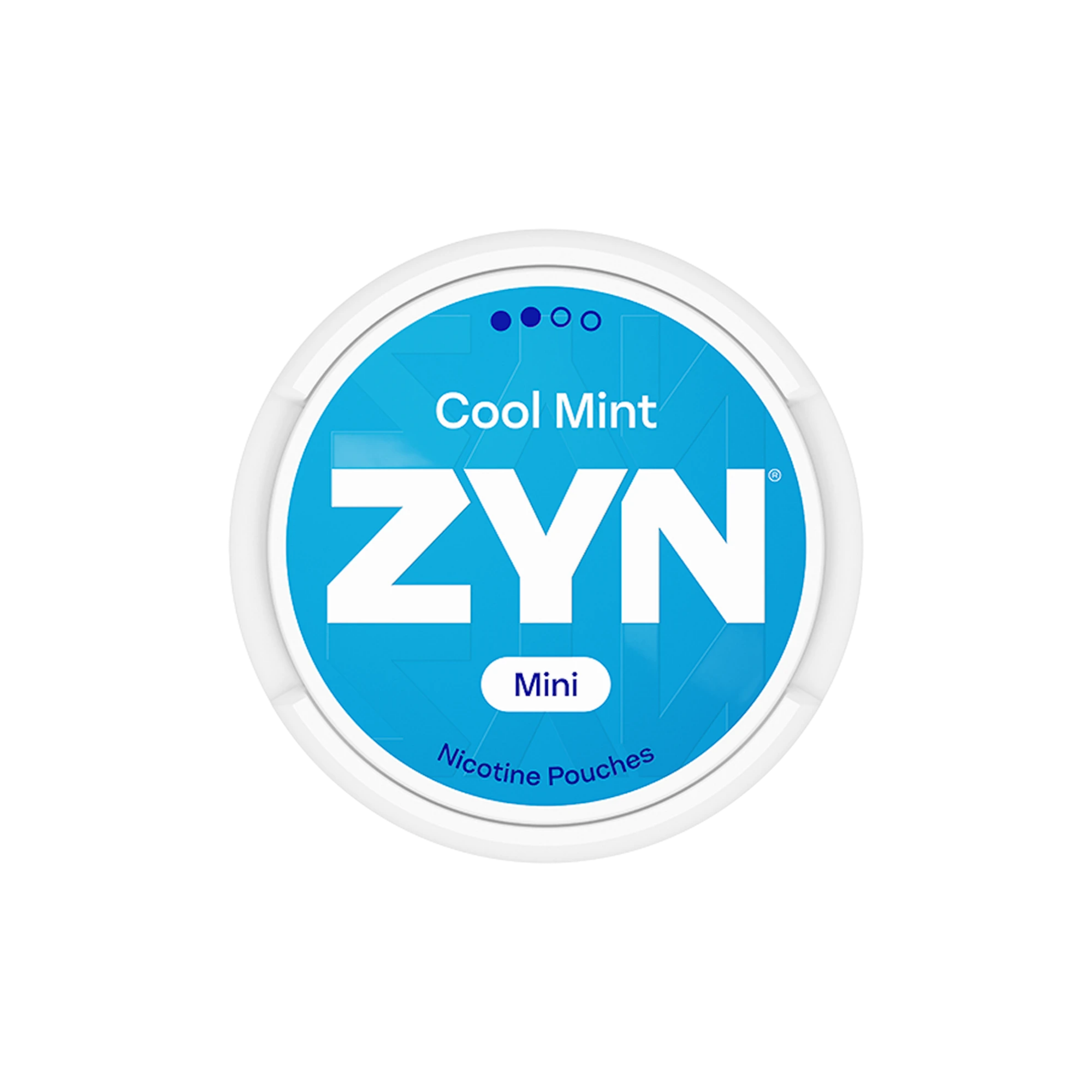 ZYN Cool Mint Mini